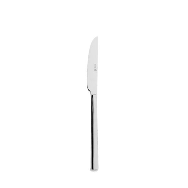 TABLE KNIFE 23CM
