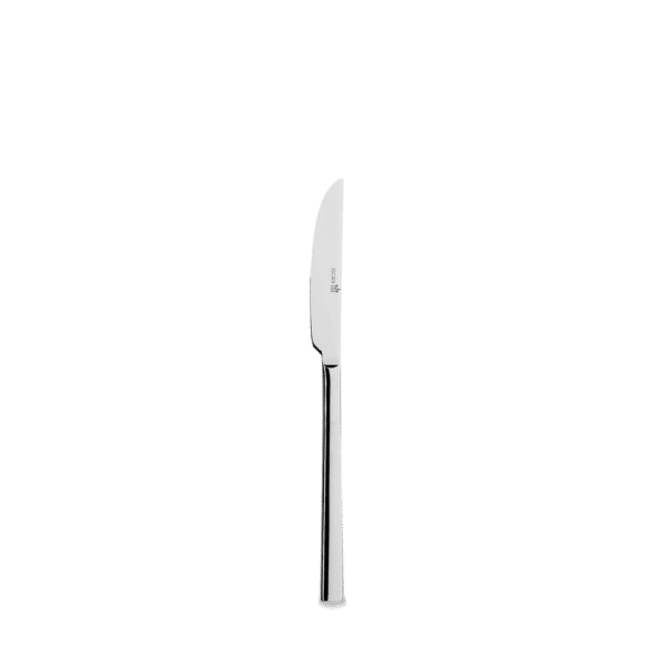 DESSERT KNIFE 19.9CM