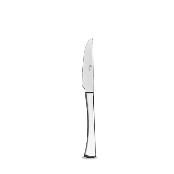 STEAK KNIFE 23.5CM