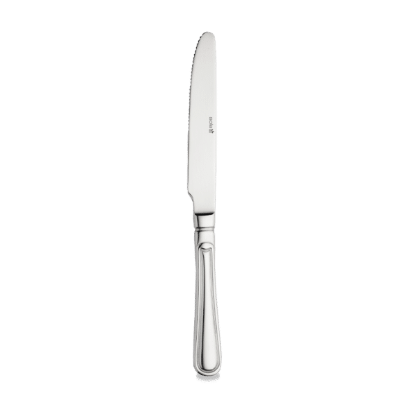 TABLE KNIFE 24.5CM