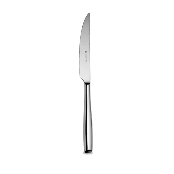 STEAK KNIFE 23.3CM