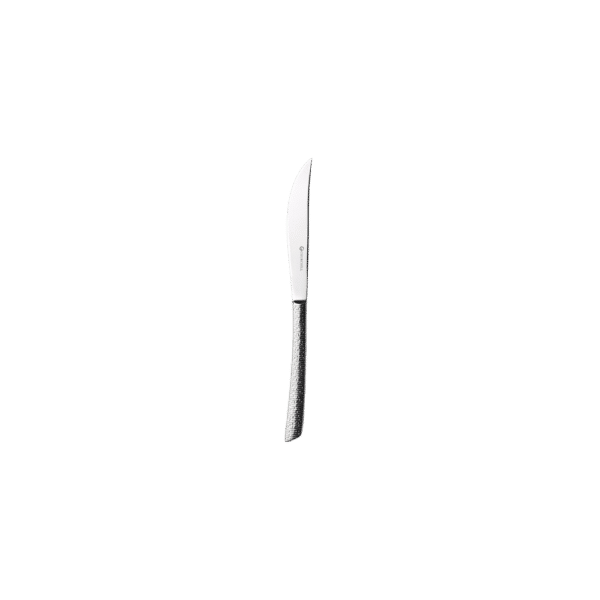 STEAK KNIFE 24CM