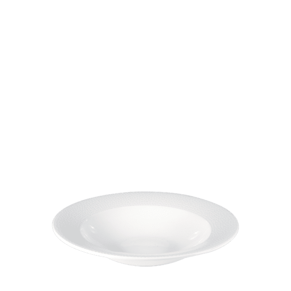 RIMMED BOWL 24.9CM