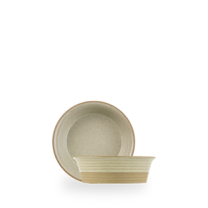 DISH 16CM