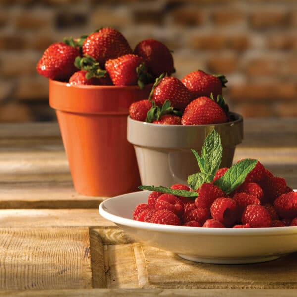 PLANT POT 11.4CL