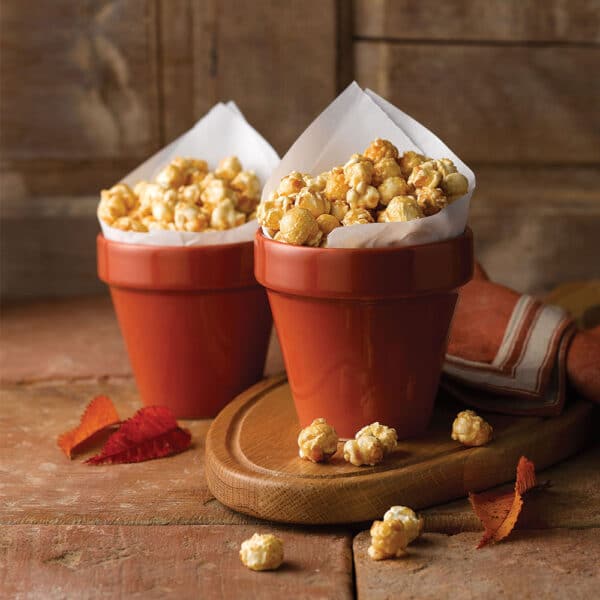PLANT POT 48.3CL