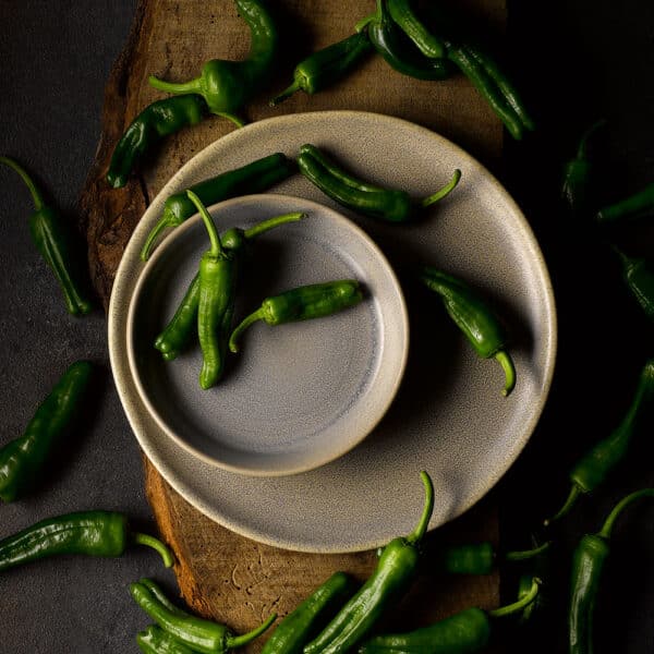 TAPAS DISH 15.9CM