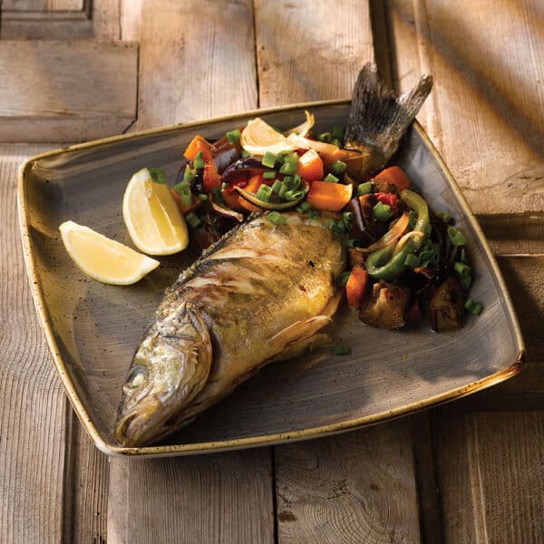 DEEP SQUARE PLATE 26.8CM