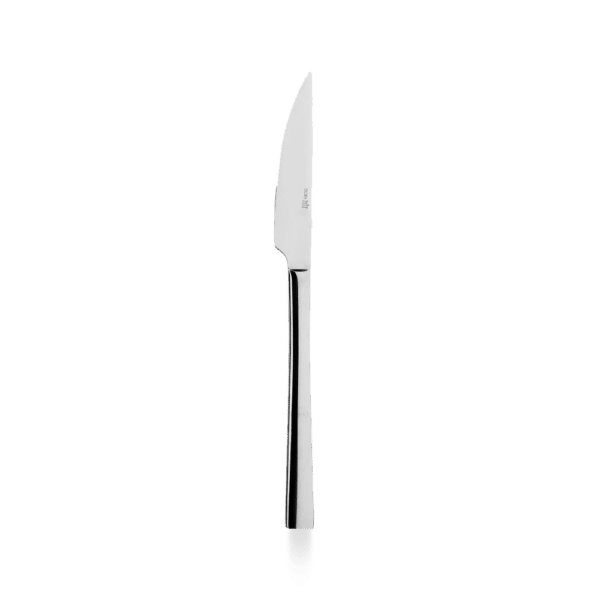 STEAK KNIFE 23.2CM