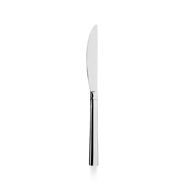 TABLE KNIFE 23CM