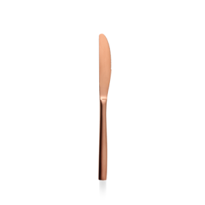 TABLE KNIFE 22.1CM