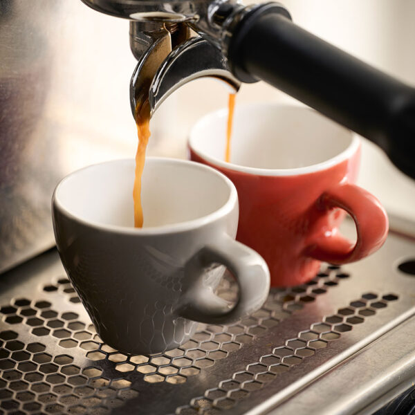 TULIP CUP 10CL