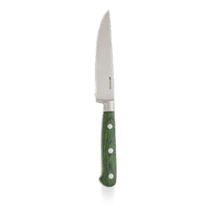Comas Steak Collection Green 25.8cm Steak Knife on white background