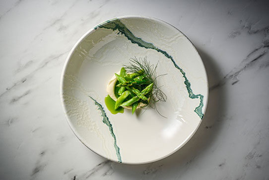 Churchill Inked Tide Accents Coupe Bowl in Blue